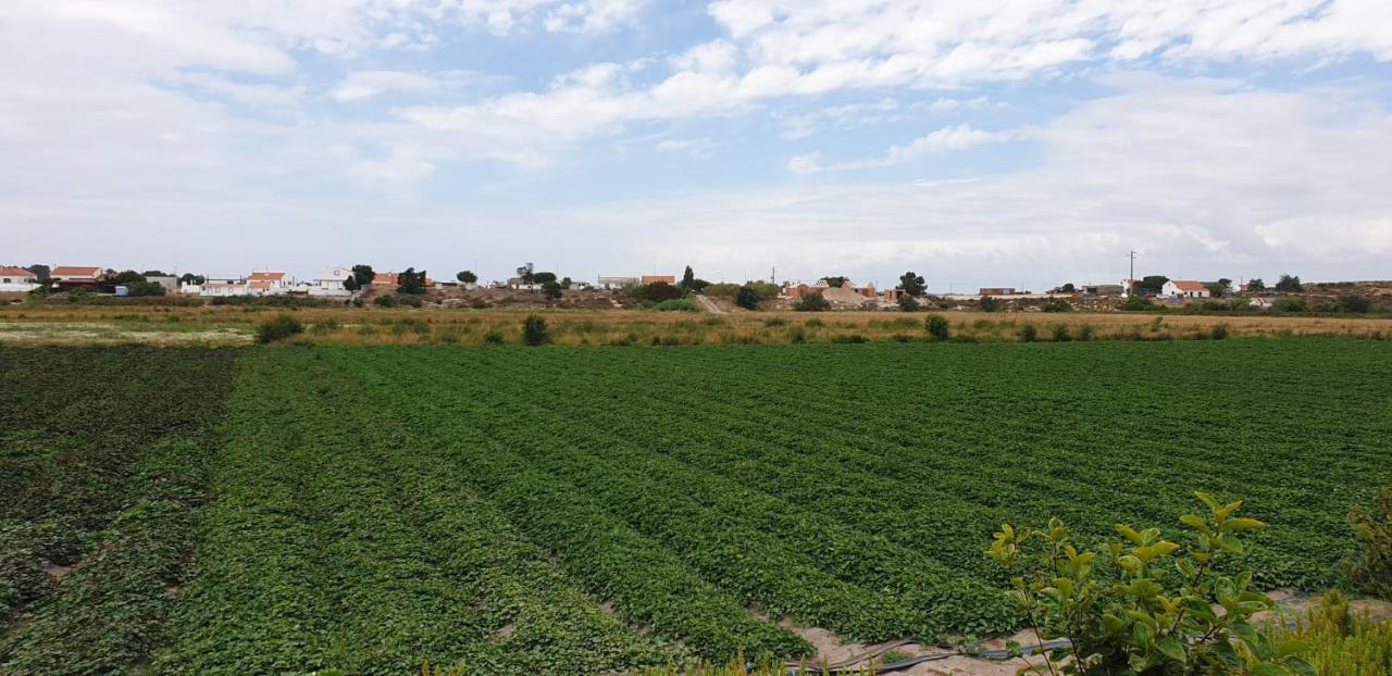 Willa Comporta House Zewnętrze zdjęcie